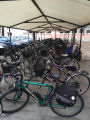 Tutti in bici per Green Schools