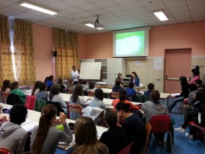 Felissent_10  